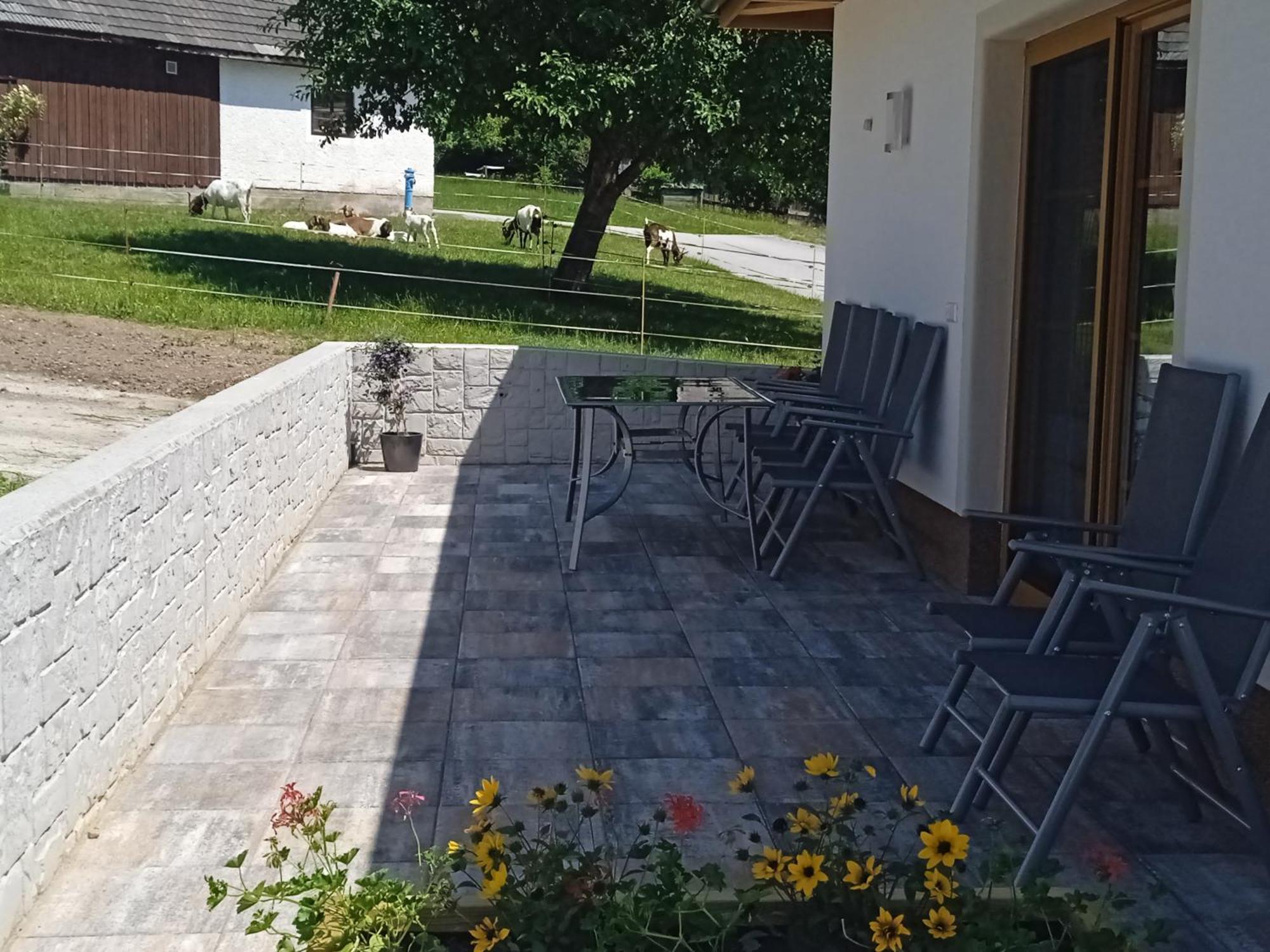 Pernerhof Appartement Aich  Buitenkant foto